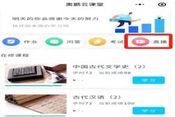 解答各种欧博体育官方网址出任纽卡斯尔